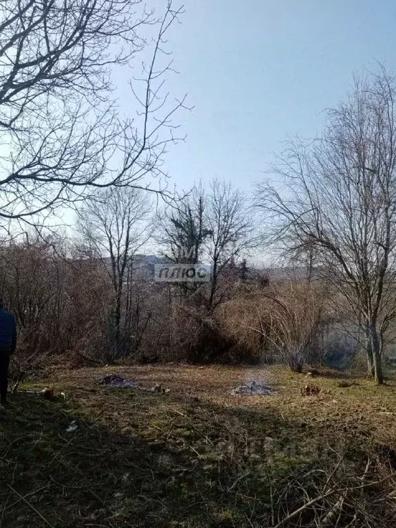 Участок в Краснодарский край, Сочи городской округ, с. Вардане-Верино, ... - Фото 1