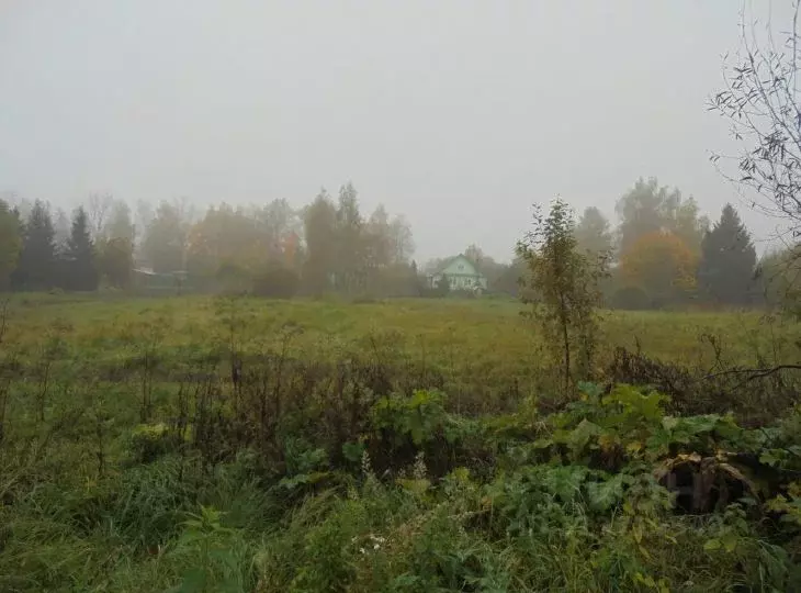 Участок в Московская область, Дмитровский муниципальный округ, д. ... - Фото 1