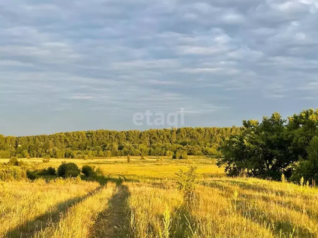 Участок в Тамбовская область, Знаменский муниципальный округ, д. ... - Фото 0