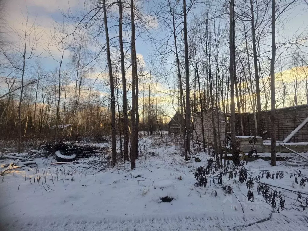 Участок в Московская область, Орехово-Зуевский городской округ, пос. ... - Фото 1