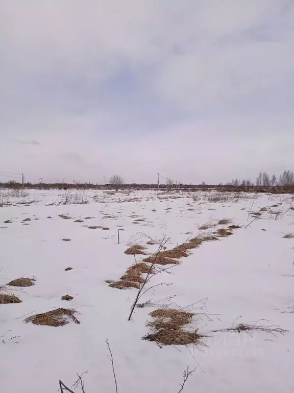 Участок в Тверская область, Калининский муниципальный округ, пос. ... - Фото 1