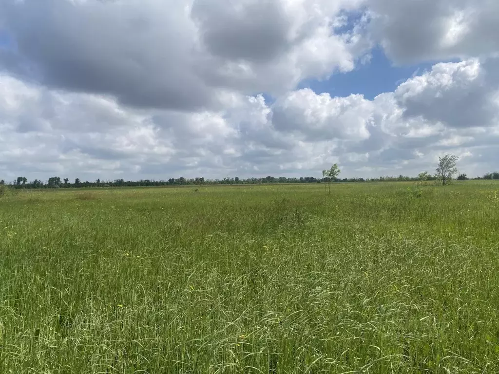 Участок в Самарская область, Волжский район, Лопатино с/пос, пос. ... - Фото 1