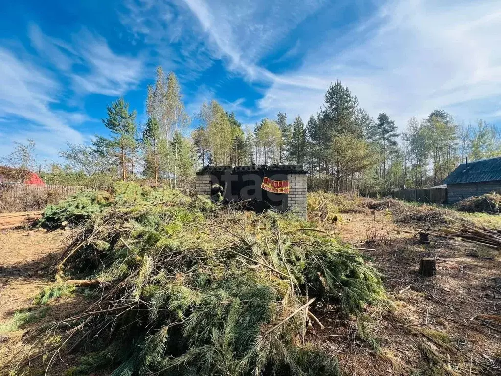 Участок в Владимирская область, Петушинский район, Пекшинское ... - Фото 1