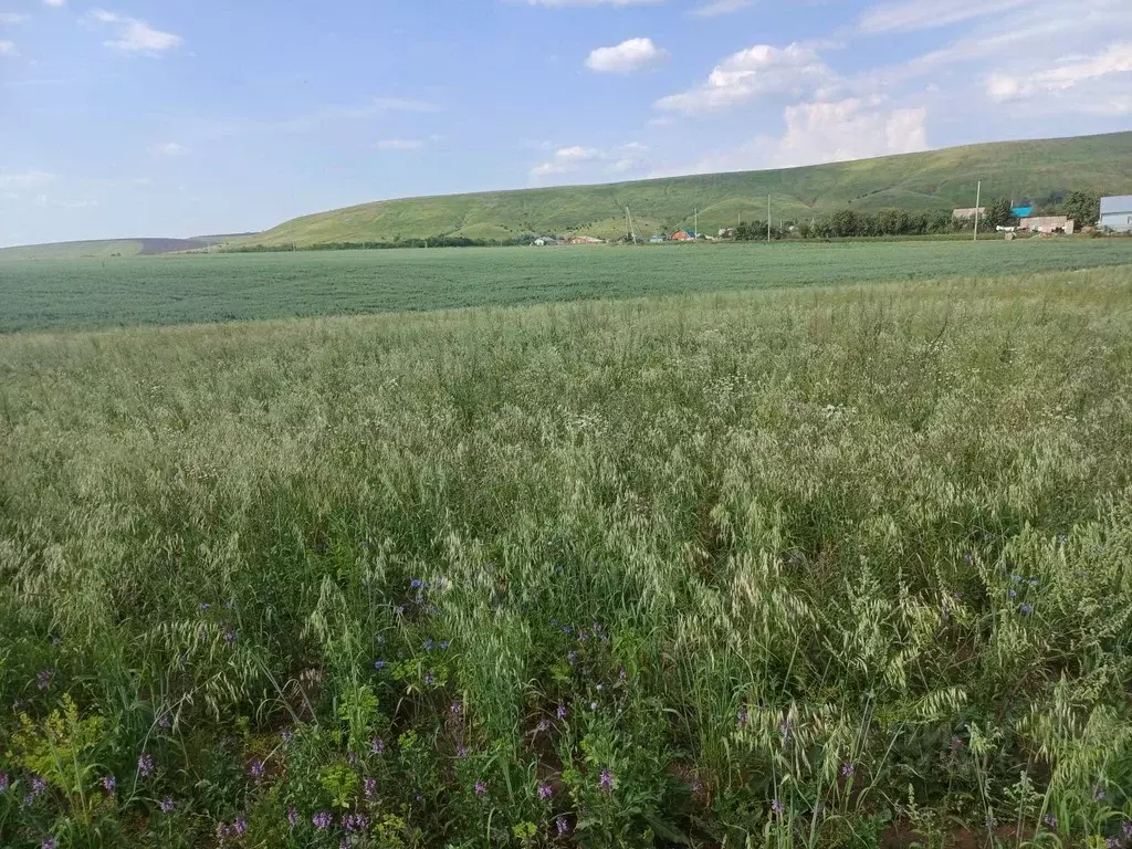 Участок в Татарстан, Кукмор Кукморский район, ул. Луговая, 2 (15.0 ... - Фото 0