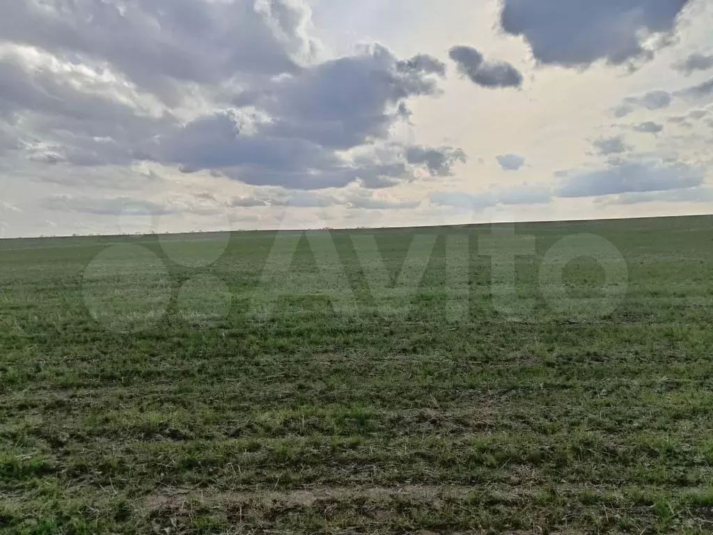 Участок 110 га (СНТ, ДНП) - Фото 0