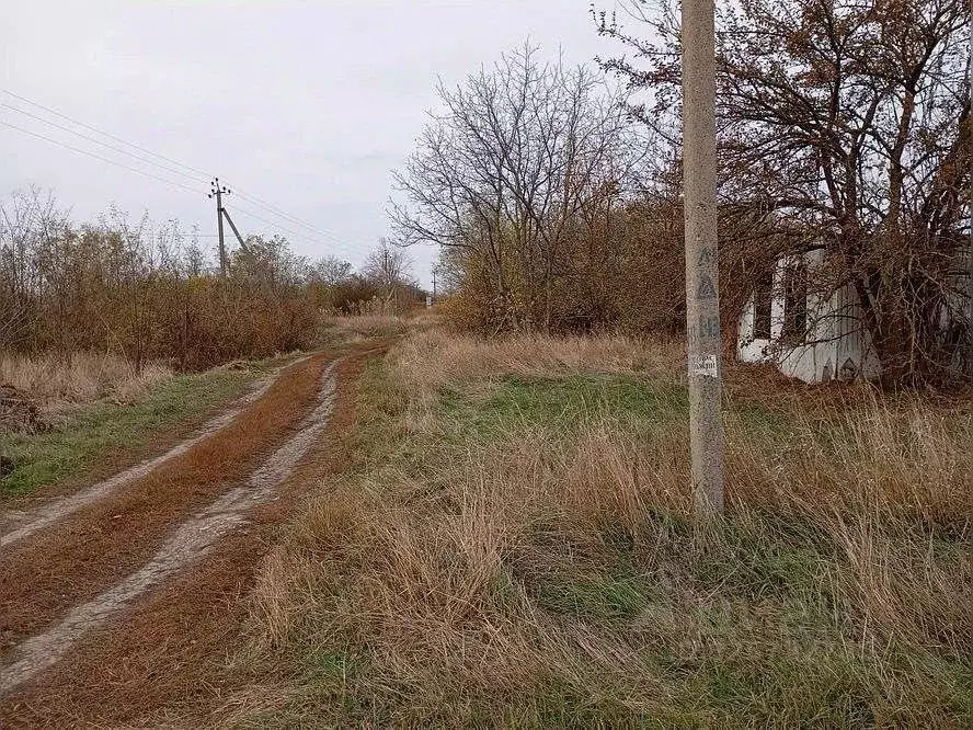 Участок в Краснодарский край, Приморско-Ахтарский муниципальный округ, ... - Фото 2