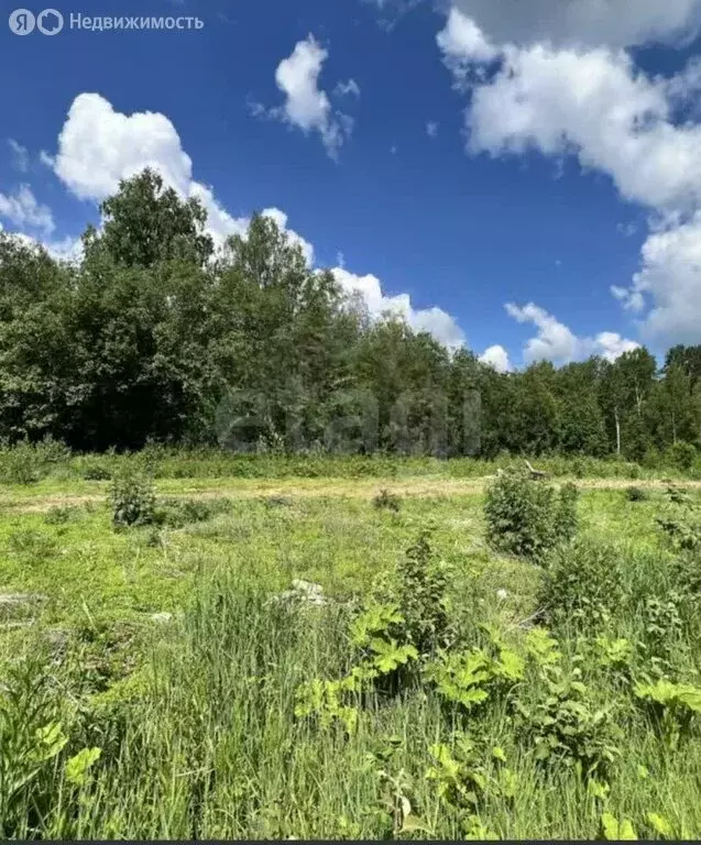Участок в Нижегородская область, Володарский муниципальный округ, ... - Фото 1