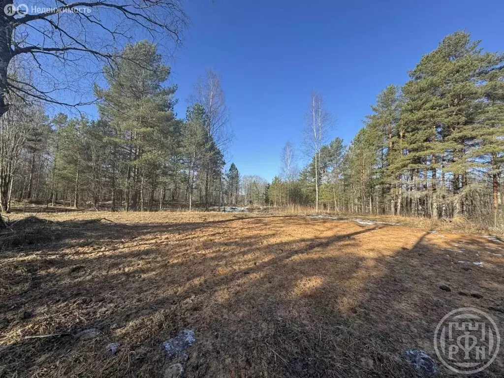 Участок в Серебрянское сельское поселение, деревня Смерди (28 м) - Фото 1