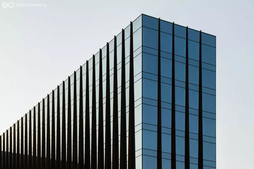 Офис (74.69 м) - Фото 1