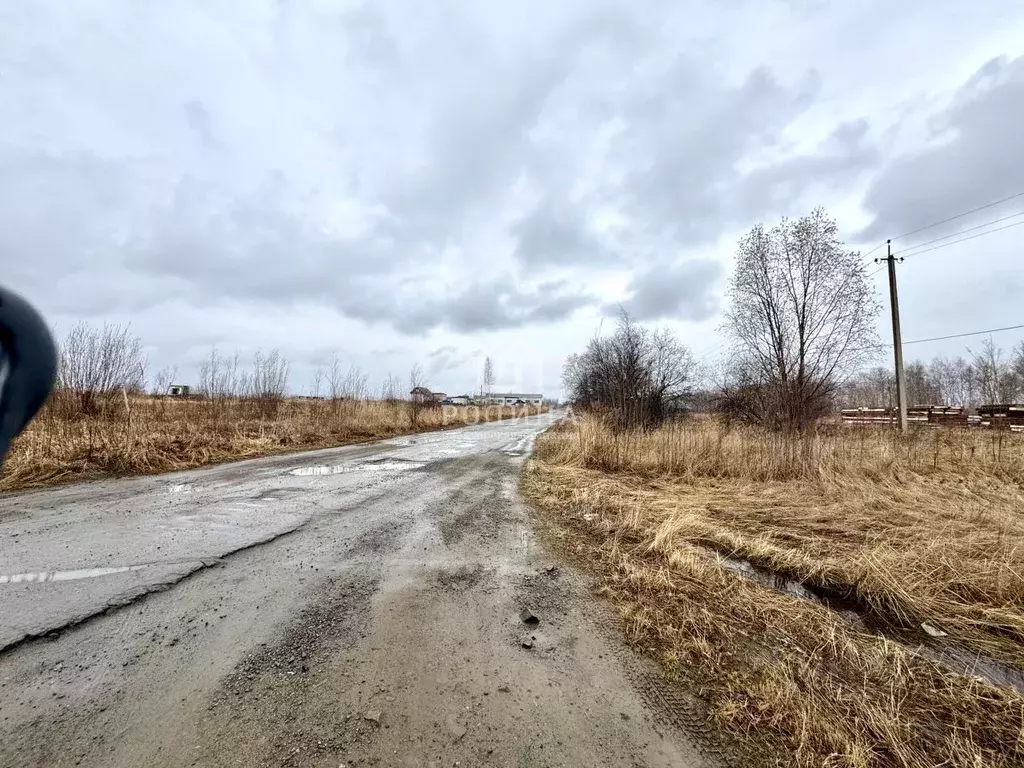 Участок в Хабаровский край, Комсомольский район, с. Новый Мир  (20.0 ... - Фото 1