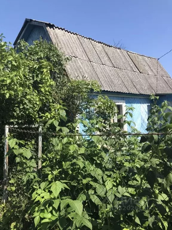 Участок в Нижегородская область, Нижний Новгород № 9 Новое Доскино ... - Фото 2