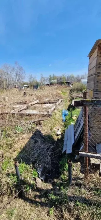 Участок в Хабаровский край, Хабаровск Энергостроитель садовое ... - Фото 1