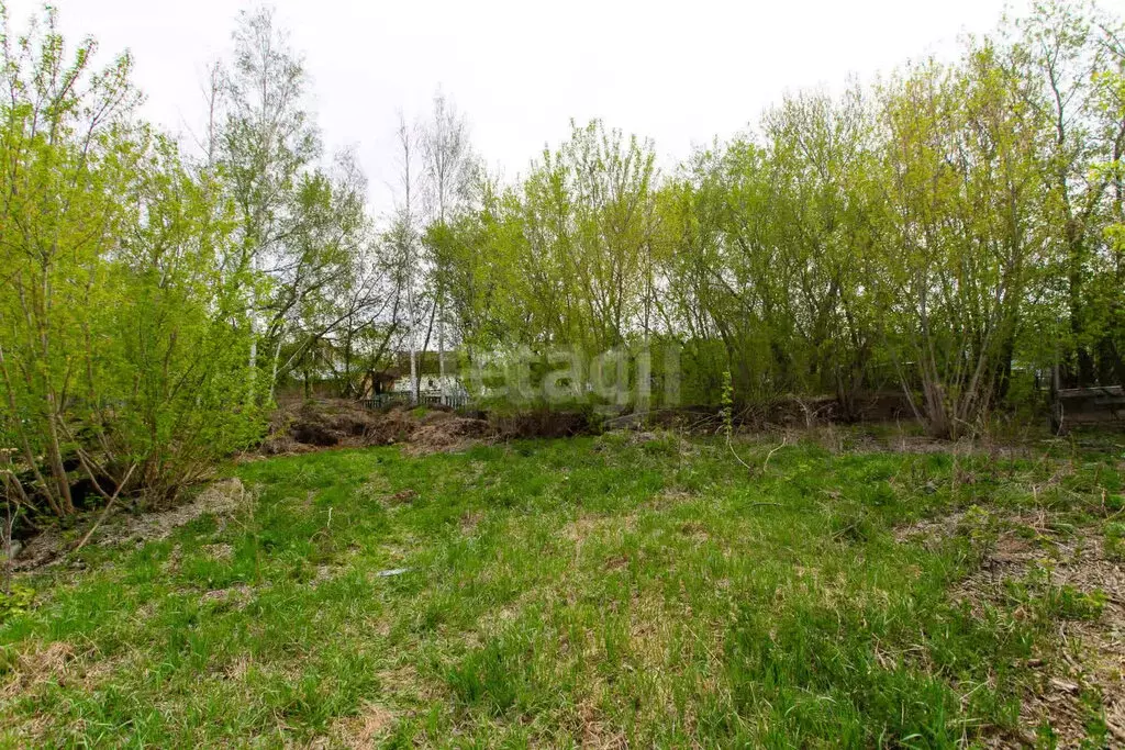 Участок в посёлок Элитный, квартал 1А (15 м) - Фото 1