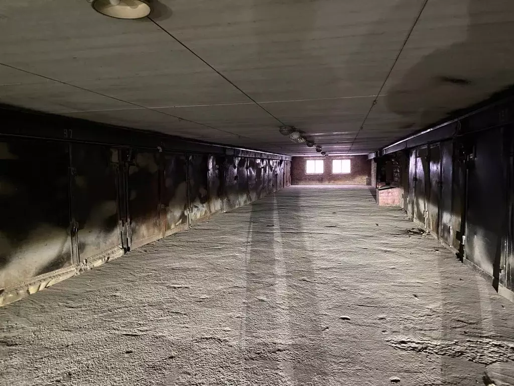 Гараж в Самарская область, Самара пер. 1-й, 55А (17 м) - Фото 1