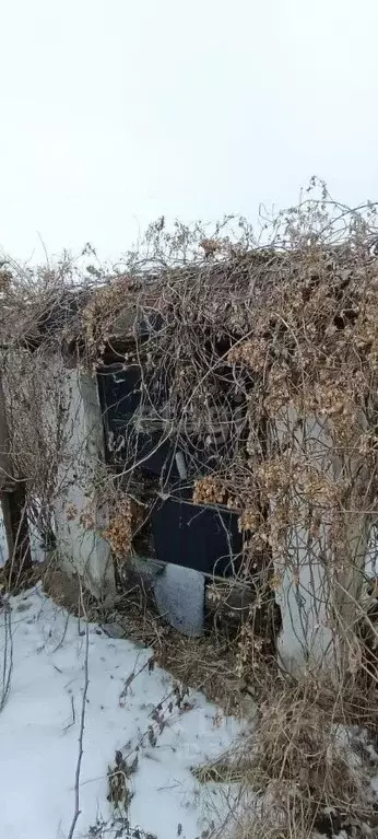 Дом в Белгородская область, Волоконовка рп ул. Быкановой, 11 (74 м) - Фото 1
