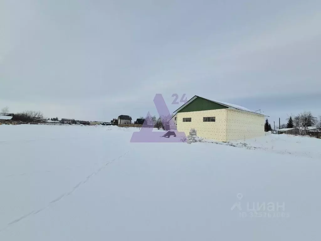 Участок в Алтайский край, Павловский район, с. Шахи Полевая ул., 4Б ... - Фото 1