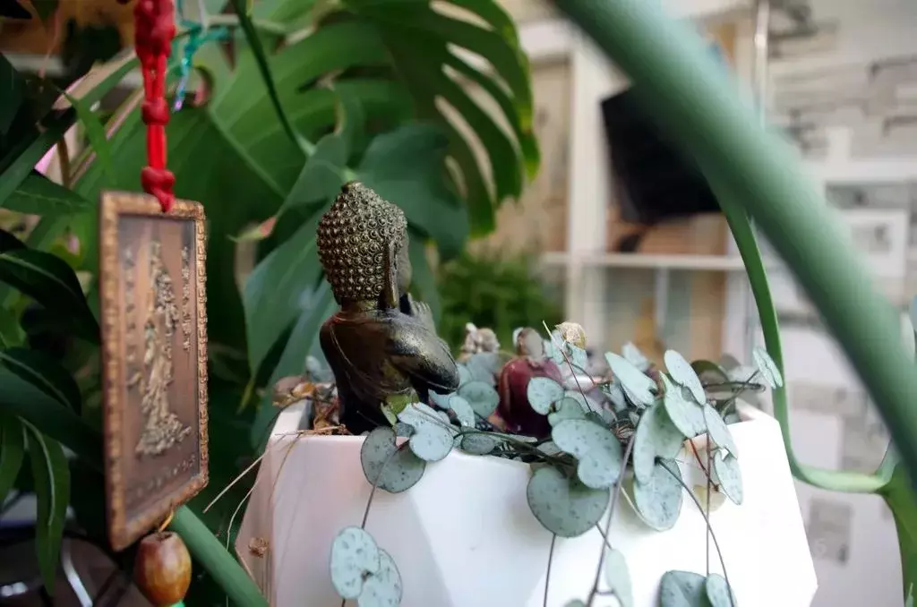 Студия Крым, Ялта ул. Пироговская, 21А (27.0 м) - Фото 1