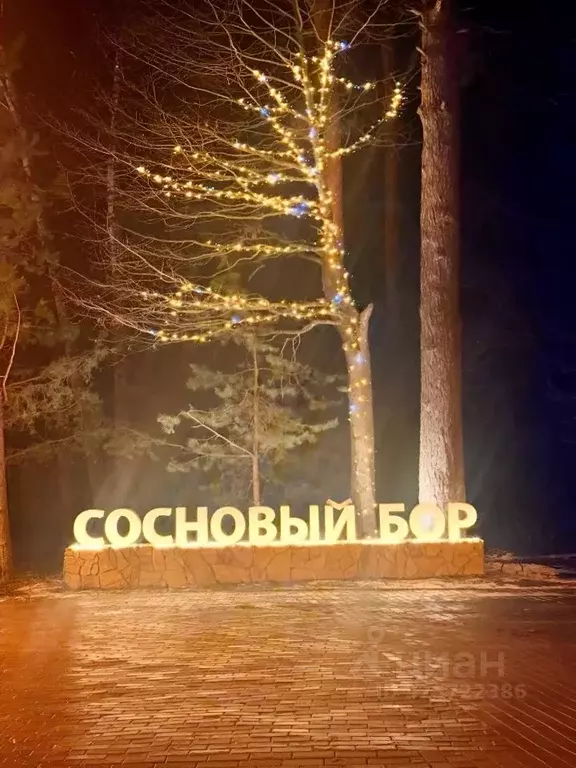 Участок в Москва Сосновый Бор кп, 158 (23.0 сот.) - Фото 2