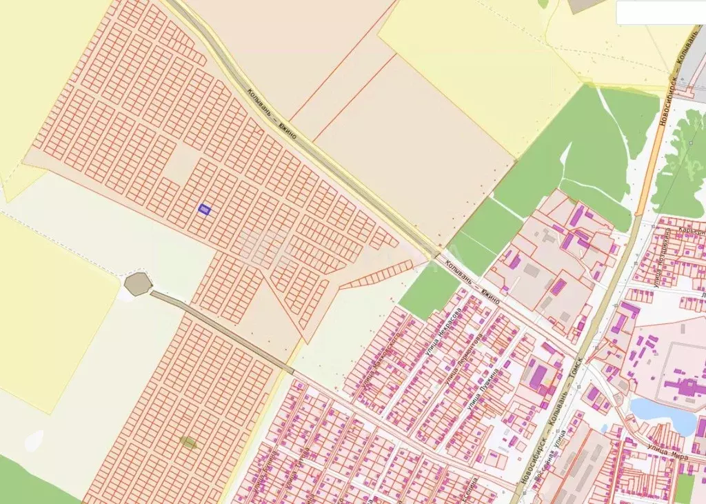 Участок в Новосибирская область, Колыванский район, Большая Семья СНТ  ... - Фото 1