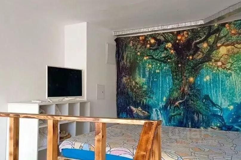1-к кв. Краснодарский край, Сочи Мамайка мкр, ул. Фадеева, 22 (23.0 м) - Фото 1