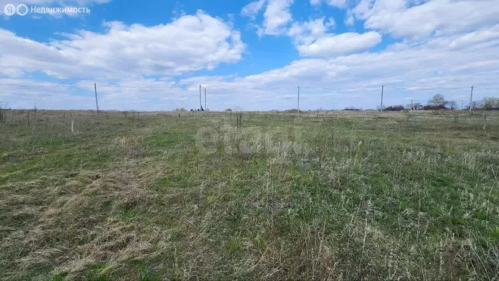 Участок в Новоживотинное, Шоссейная улица (13.9 м) - Фото 1