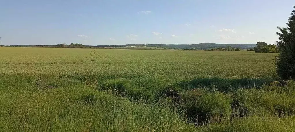 Участок в Краснодарский край, Северский район, Ильское городское ... - Фото 1