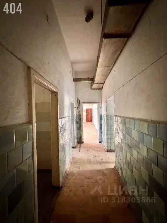 Офис в Севастополь ул. Маршала Блюхера, 16 (116 м) - Фото 0
