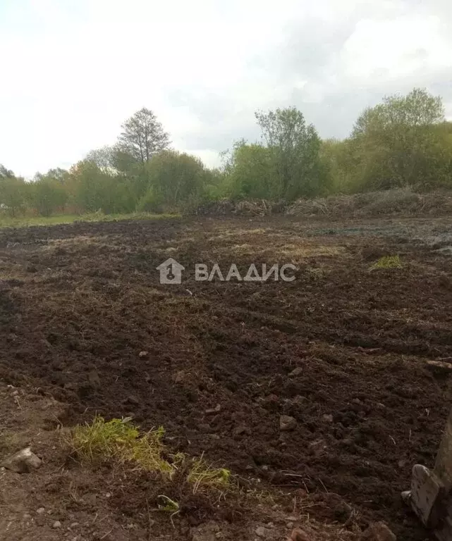 Участок в Калининград, СНТ Балтиец, Урожайный проезд, 42 (6.5 м) - Фото 1