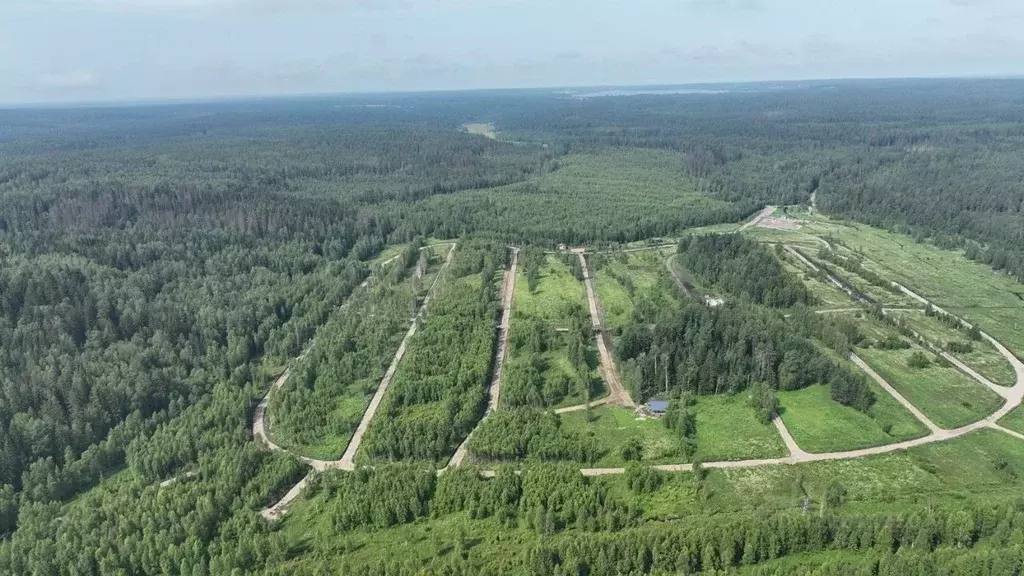 Участок в Ленинградская область, Приозерский район, Раздольевское ... - Фото 1