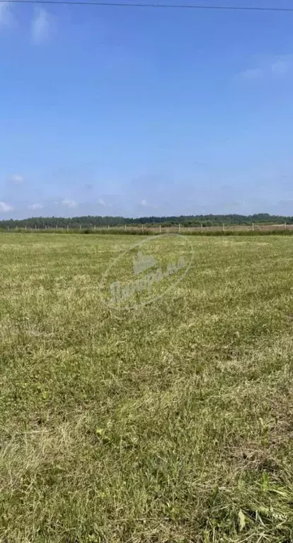 Участок в Калужская область, Перемышльский район, Большие Козлы с/пос, ... - Фото 1