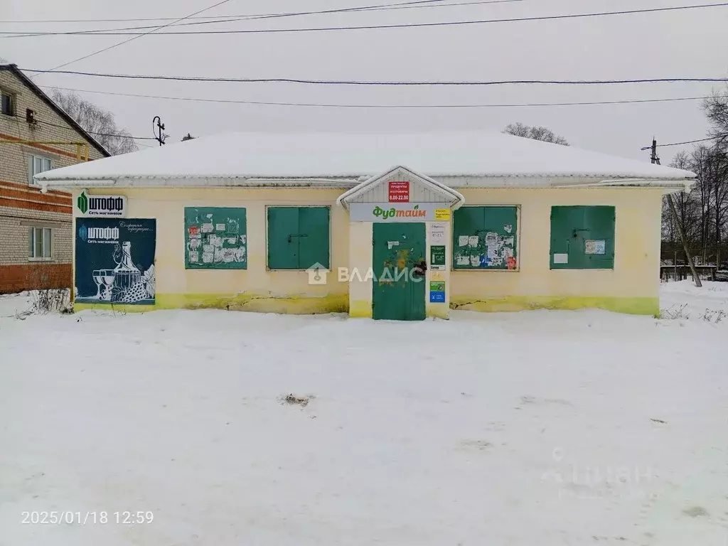 Торговая площадь в Нижегородская область, Богородский муниципальный ... - Фото 0