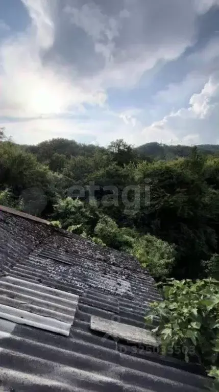 Участок в Краснодарский край, Геленджик городской округ, с. ... - Фото 2