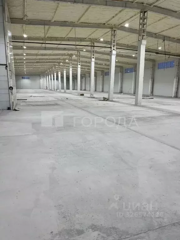 Склад в Новосибирская область, Новосибирский район, Толмачевский ... - Фото 1