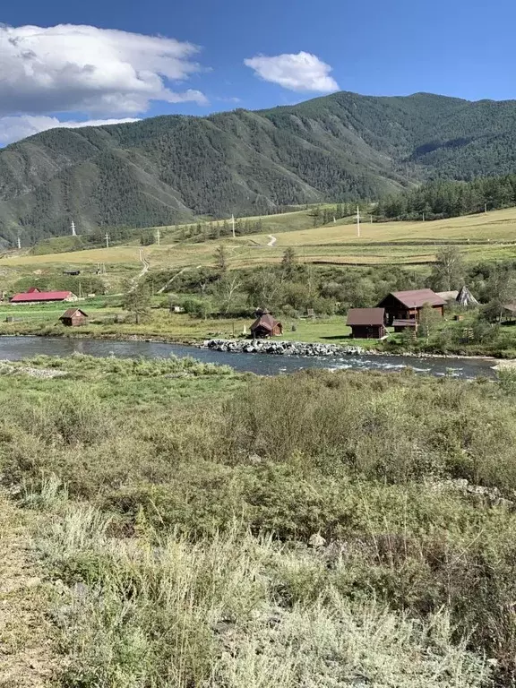 Участок в Алтай, Онгудайский район Р-256 Чуйский тракт, 651-й км ... - Фото 0