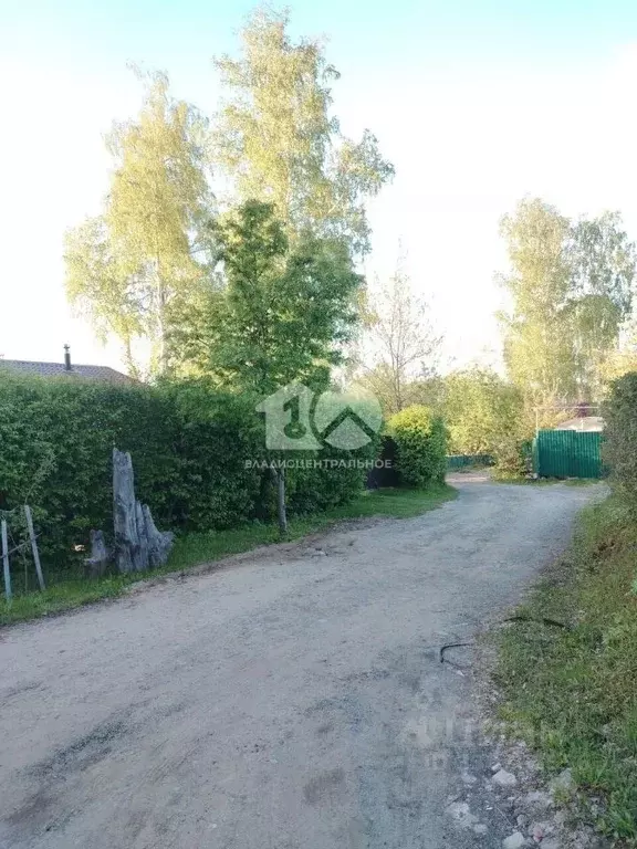 Участок в Новосибирская область, Новосибирский район, Барышевский ... - Фото 1