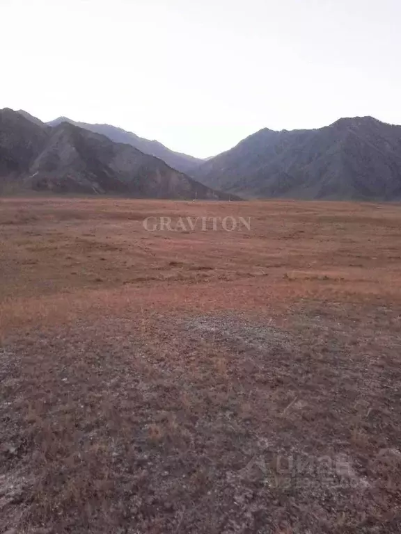 Участок в Алтай, Онгудайский район, с. Инегень Центральная ул., 15 ... - Фото 1