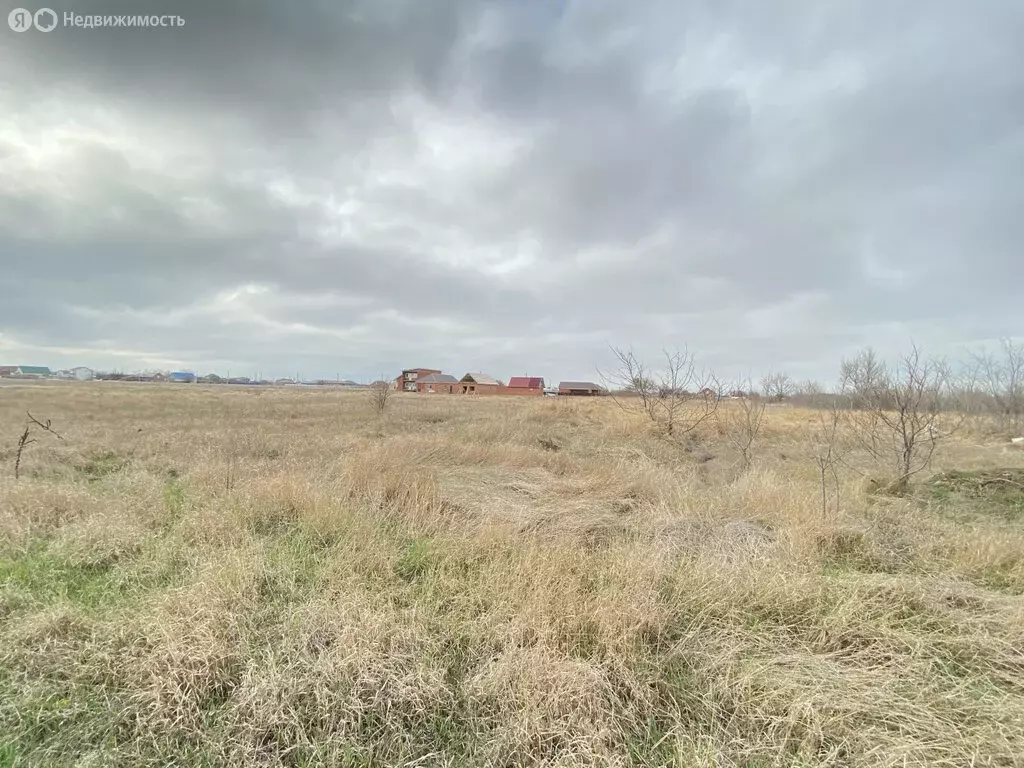 Участок в Кухаривка, Солнечная улица (15 м) - Фото 1