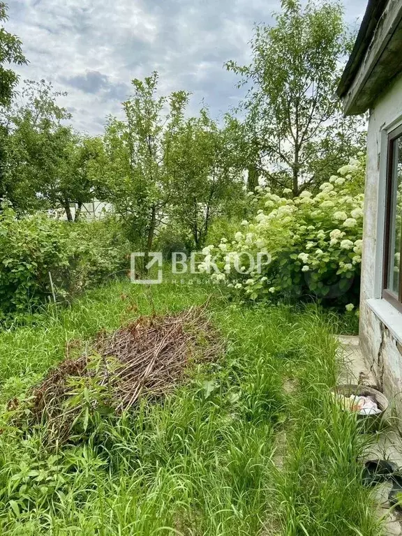 Участок в Костромская область, Кострома Рассвет СТ, 17Б (5.5 сот.) - Фото 1
