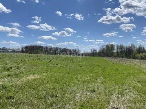 Участок в Калужская область, Бабынинский муниципальный округ, ... - Фото 1