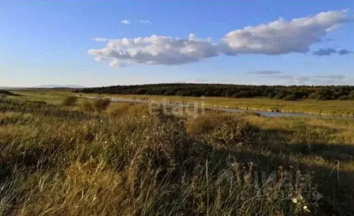 Участок в Белгородская область, Яковлевский городской округ, с. ... - Фото 0