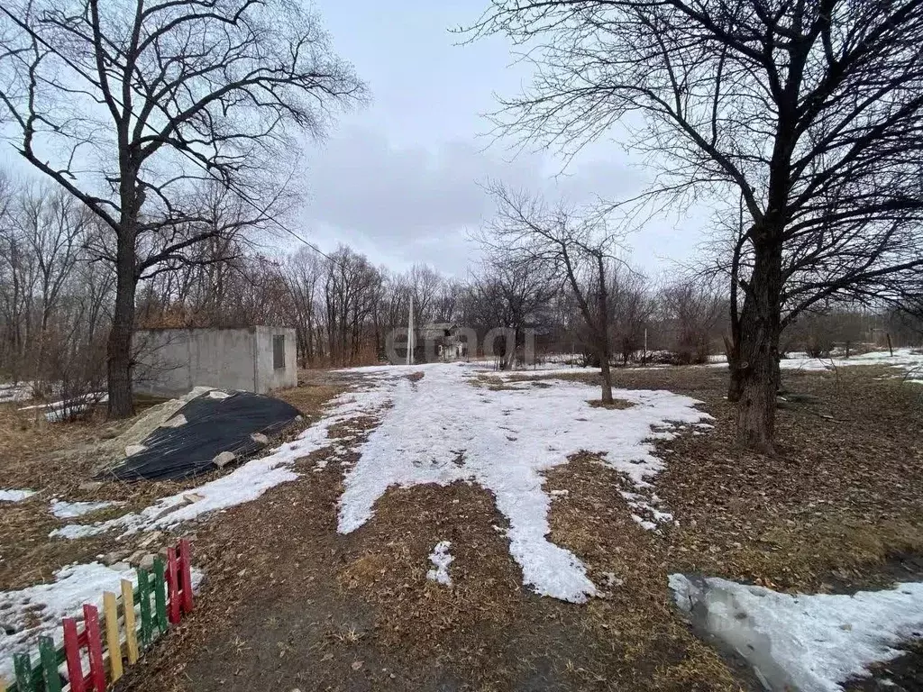 участок в амурская область, благовещенский район, с. чигири ул. . - Фото 0