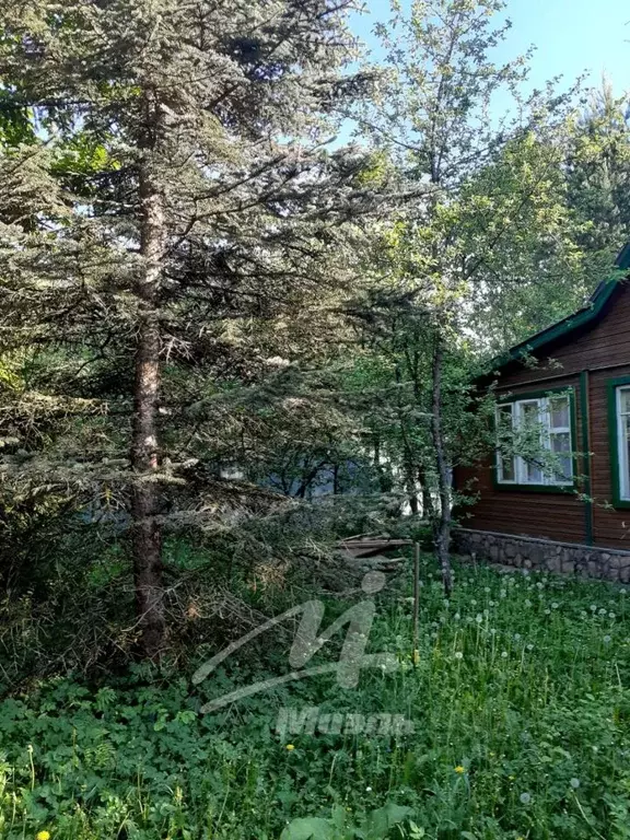 Дом в Московская область, Одинцовский городской округ, Ландыш СНТ 2 ... - Фото 2