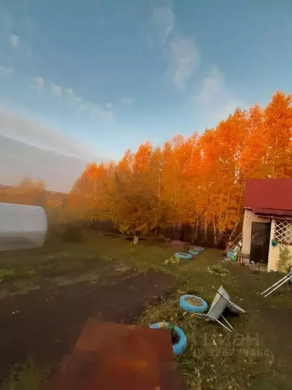 Участок в Красноярский край, Емельяновский муниципальный округ, Силуэт ... - Фото 1