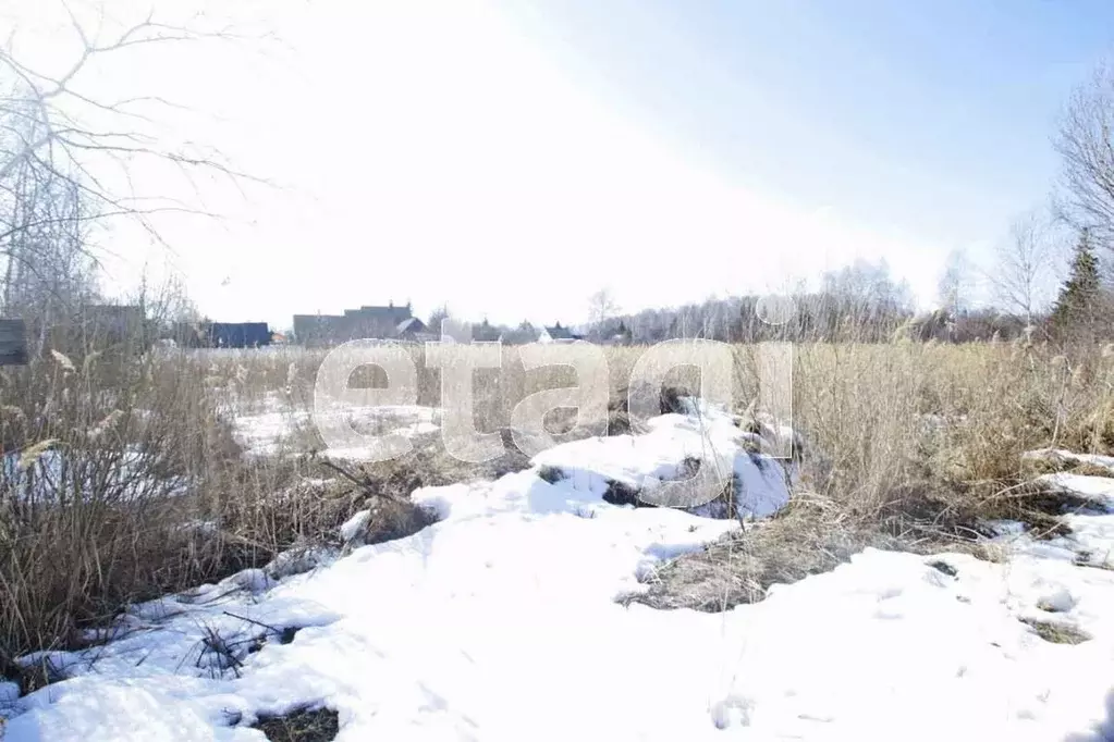 Участок в Тюменская область, Ялуторовский муниципальный округ, СО ... - Фото 1