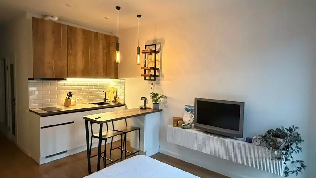 Студия Москва Сельскохозяйственная ул., 37 (24.0 м) - Фото 1