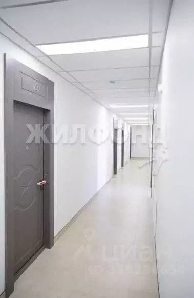 1-к кв. Новосибирская область, Новосибирск ул. Прибрежная, 6 (40.7 м) - Фото 1