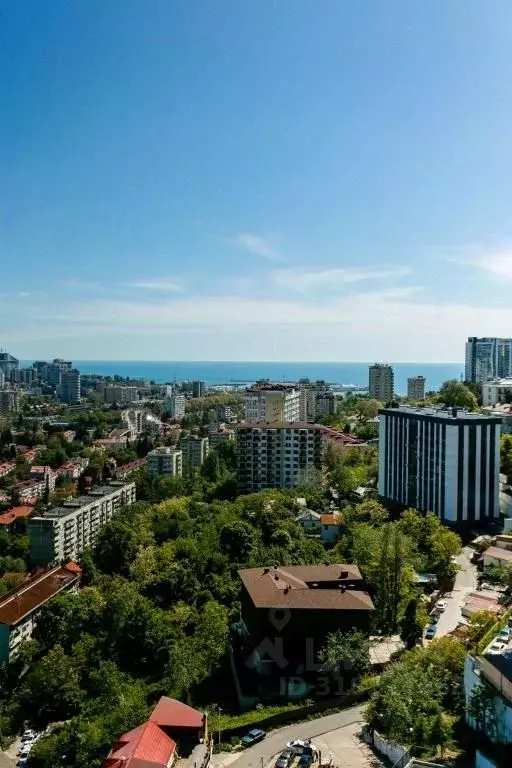 1-к кв. Краснодарский край, Сочи Виноградная ул., 22/1Б (35.0 м) - Фото 1