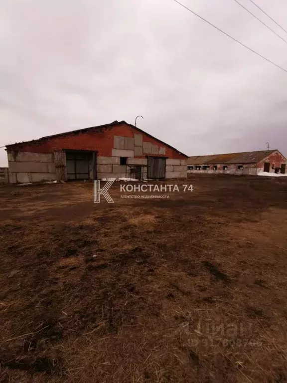 Участок в Челябинская область, Красноармейский район, с. Сугояк ул. 70 ... - Фото 0