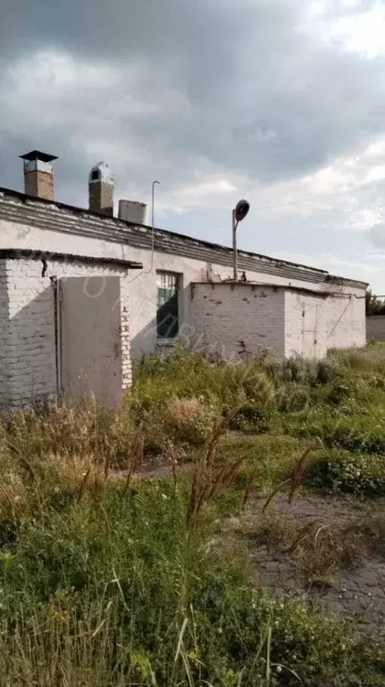 Участок в Саратовская область, Балашовский район, с. Большой Мелик ... - Фото 2