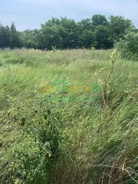 Участок в Белгородская область, Белгородский район, Северный городское ... - Фото 1